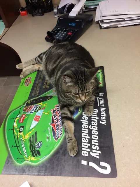 Interstate All Battery Center