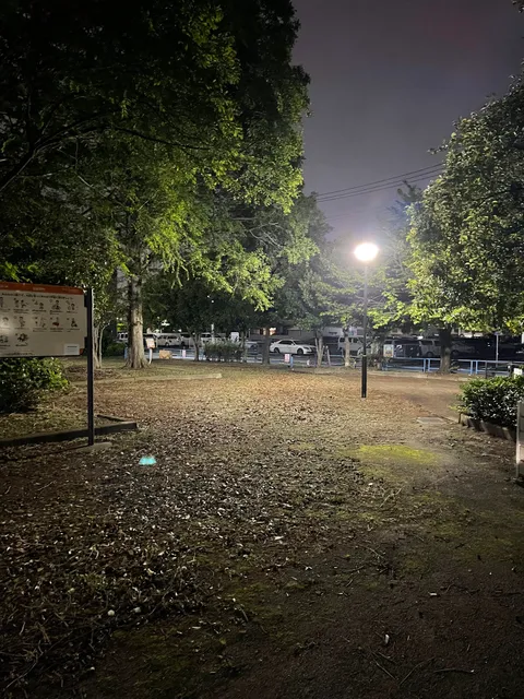 Adachi Kuritsu Minamihanahata Park