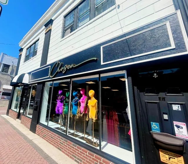 Chosen By Stephanie Foster