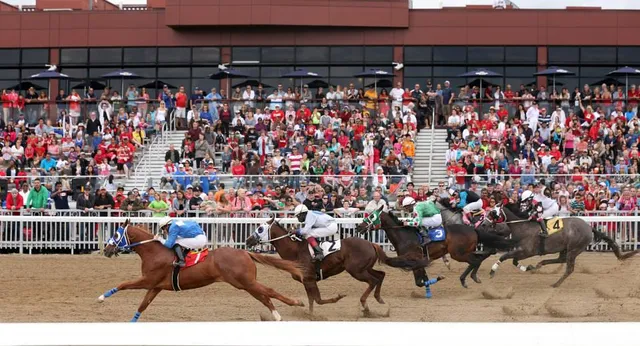 Ajax Downs Racetrack