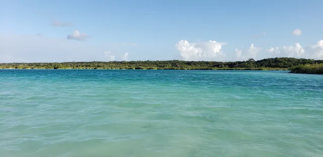 Eco-camping "Las torcacitas"