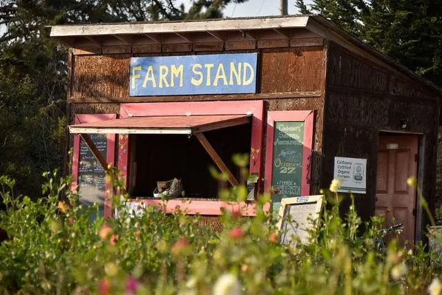Homeless Garden Project Farm Stand