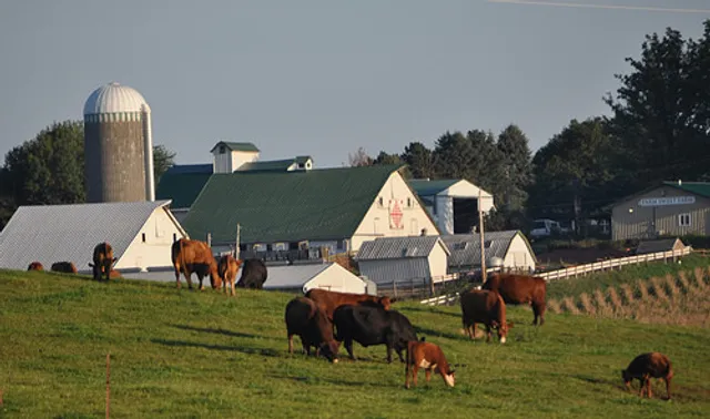 Farm Sweet Farm at Rosmann Family Farms