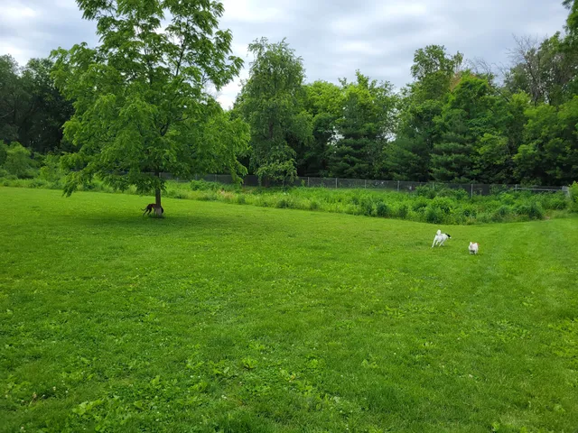 Walnut Grove Park Dog Park