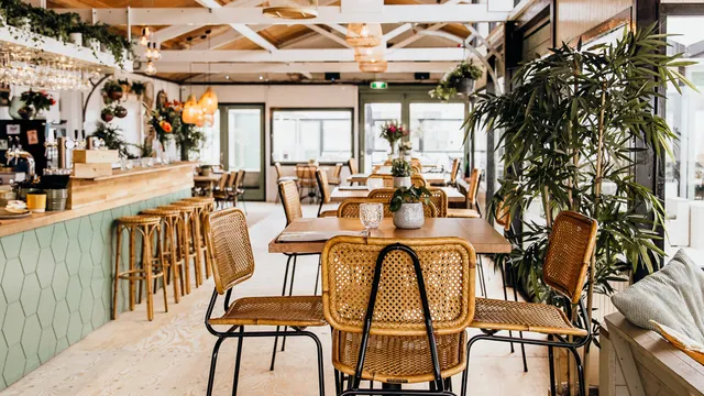 Beachclub BIRDS | CLOSED TILL THE BEGINNING OF MARCH 2026