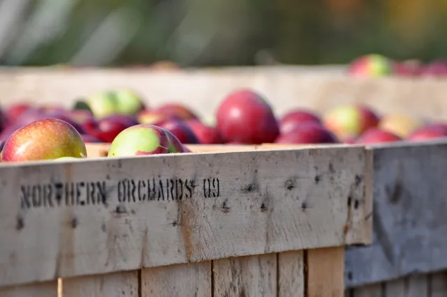 Northern Orchard Co., Inc.