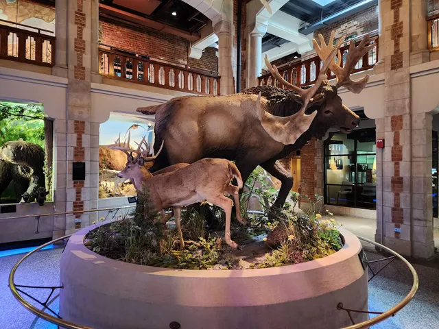 Toledo Museum Of Science