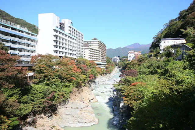 Hotel Kinugawa Gyoen