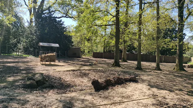 Entrée / caisse Safari Zoo Thoiry