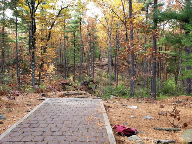 Coggshall Park Disc Golf Course