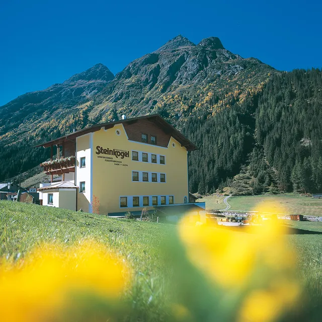 Der Steinkogel - Zimmer & Appartments in St. Leonhard im Pitztal