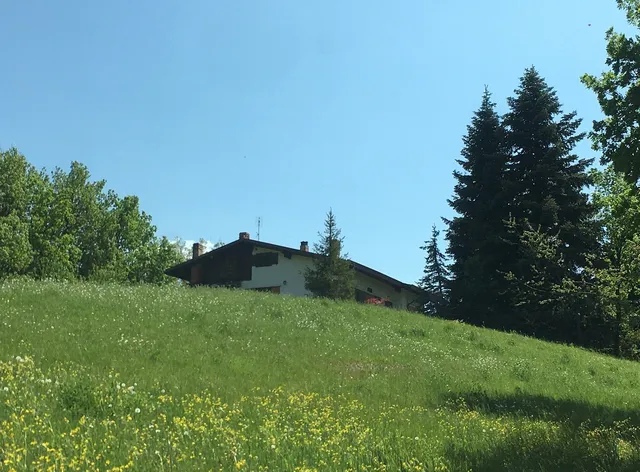 Bed & Breakfast "Ai Quattro Gatti"