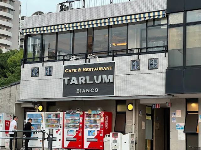 Tarlum Bianco Odaiba