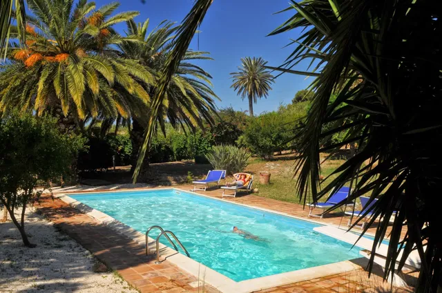 Bed and Breakfast Under the palm