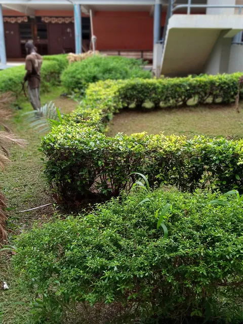 UCI School of Social Sciences