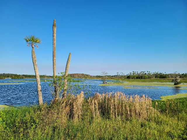 Orlando Wetlands