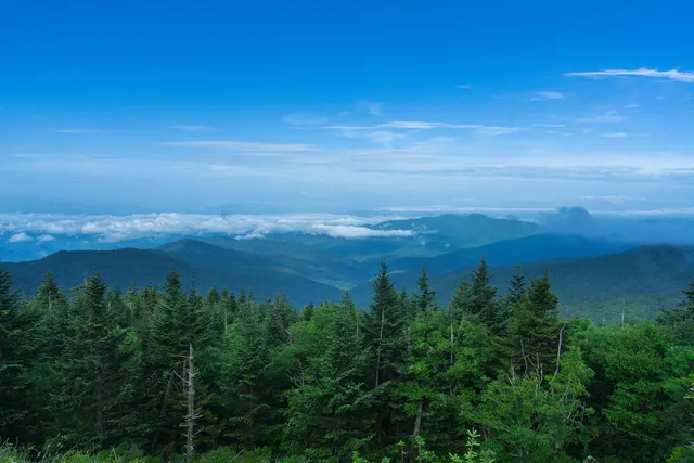 Pigeon Forge Department of Tourism