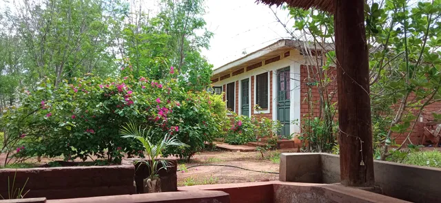 The Vineyard Retreat Voi.