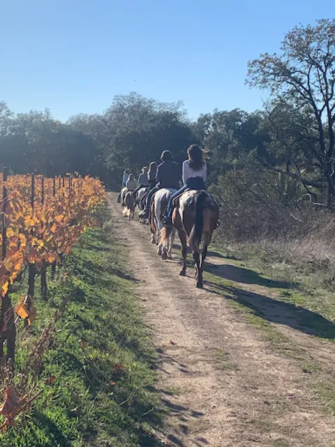 Sonoma Valley Trail Rides