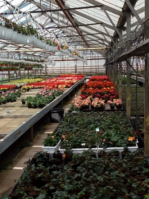 Градина заДружба