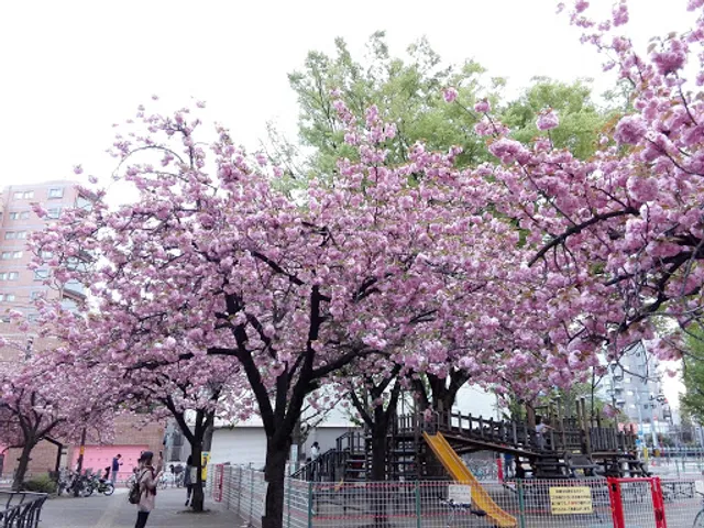 Hanakawado Park (North Side)