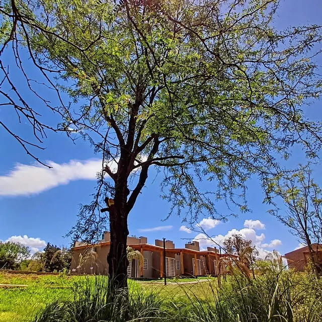 Cabañas Barrancas de Andino