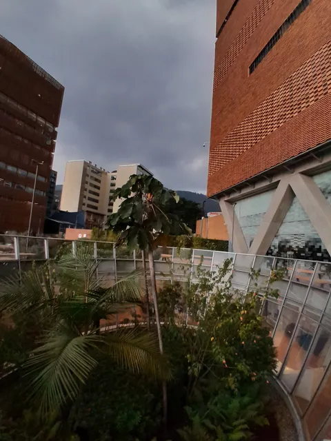 Sala De Espera Cirugía - Fundacion Santa Fe de Bogota