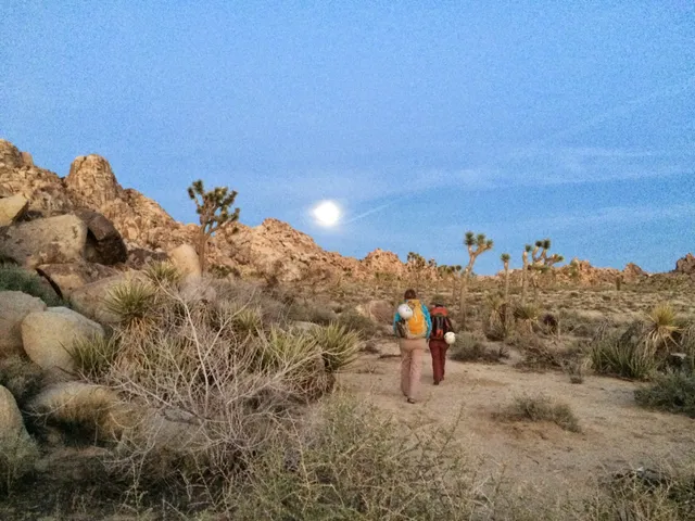 Cliffhanger Guides - Joshua Tree Rock Climbing Adventures