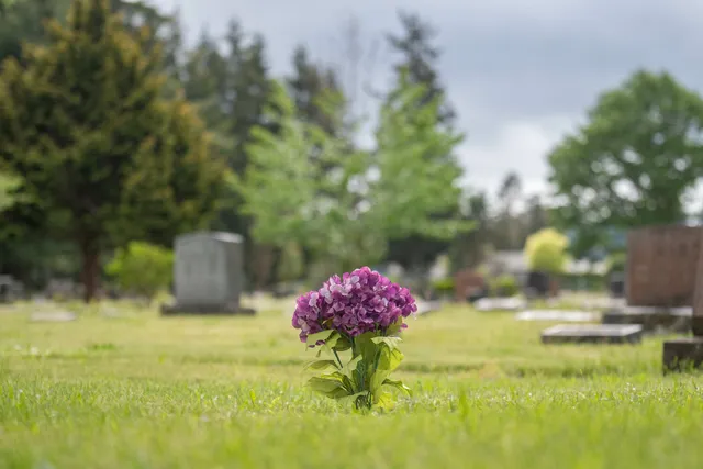 Mountain View Cemetery