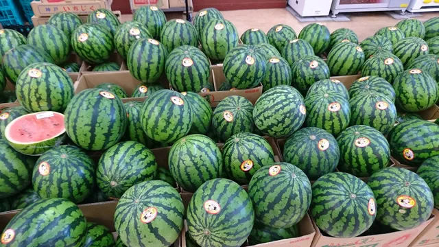 Home improvement Musashi Kyoto Yawata store