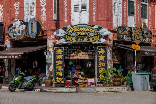Malaysian Hainanese Food