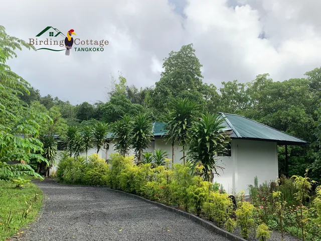 Birding Cottage Tangkoko