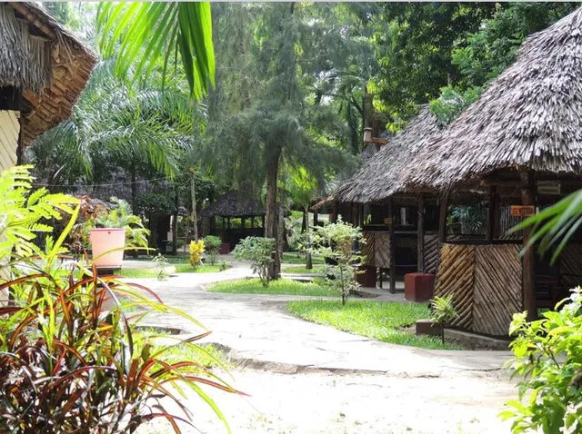 Animo County Retreat