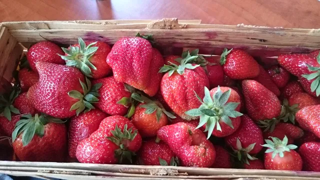 Farmer's Market Rybitwy