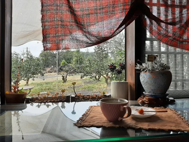 Cafe Vintage 카페 빈티지