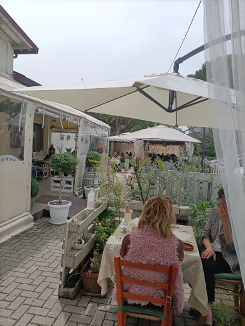 Rossteria Busdesgnaus