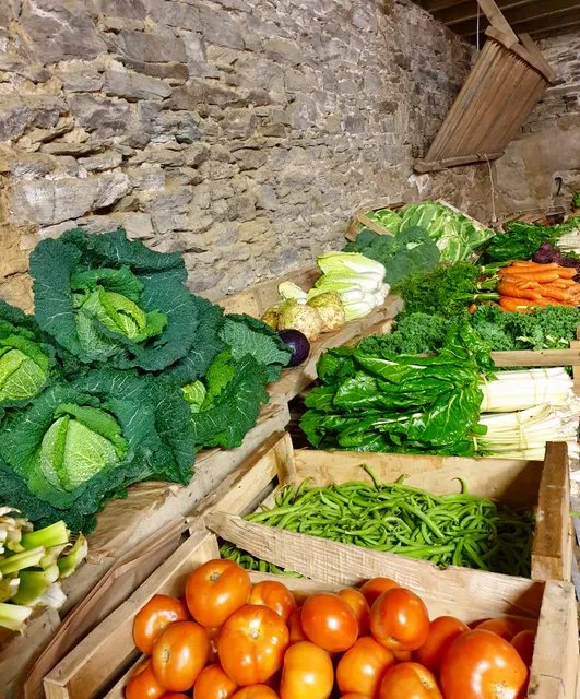 Earl Lesne Cadiou - Le marché bio de Patricia