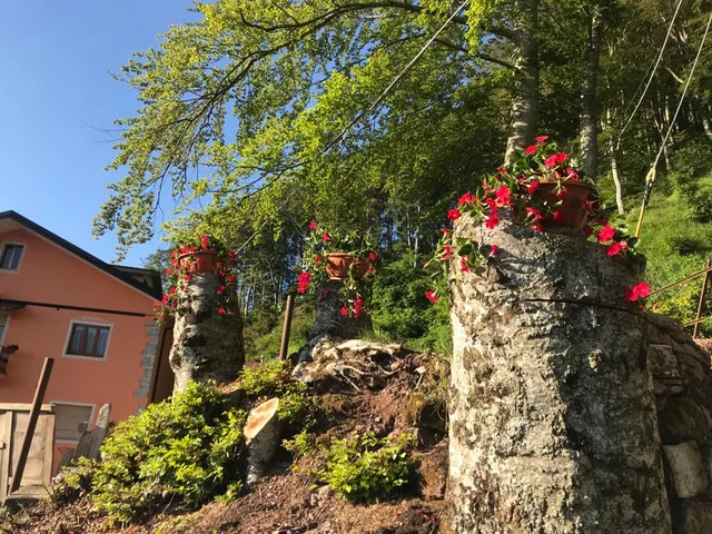 Agriturismo La Rosa Spina