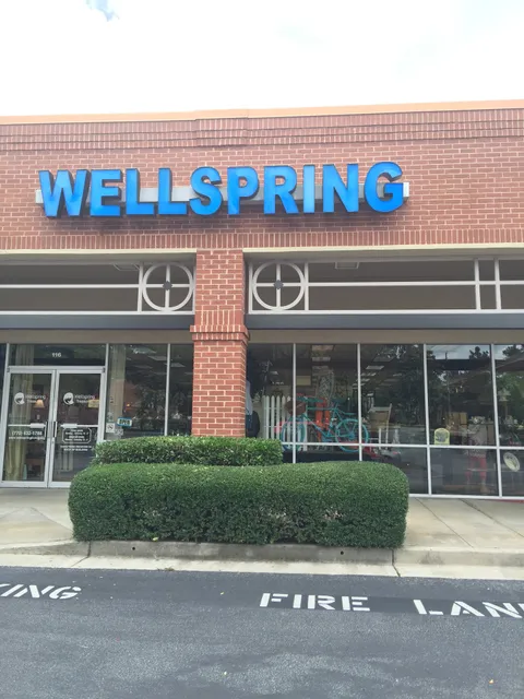 Wellspring Treasures Peachtree City