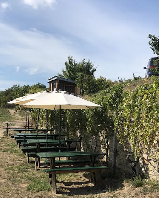 Buschenschank Windischbauer