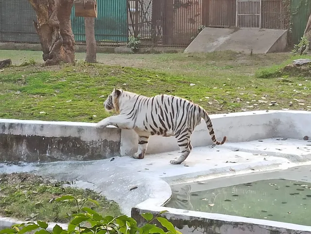 National Zoological Park, Delhi