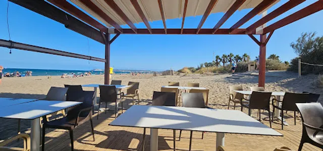 Beach Bar Camping Las Dunas