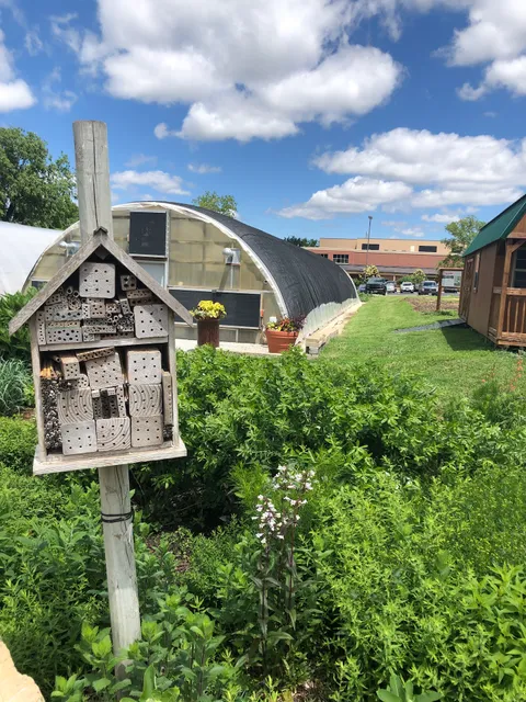 Backyard Farmer Garden