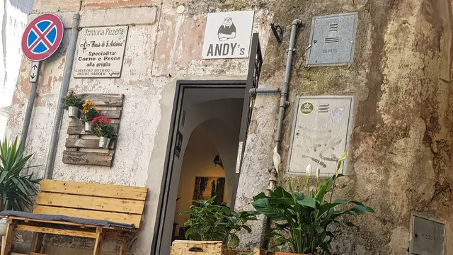 ANDY's | Men's Urban Wear