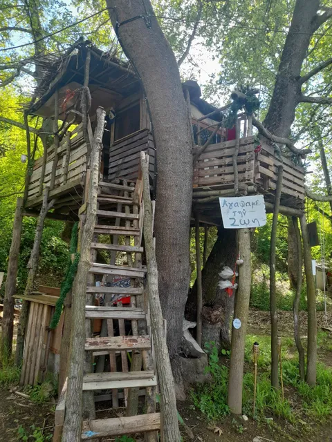 Treehouses - River Park