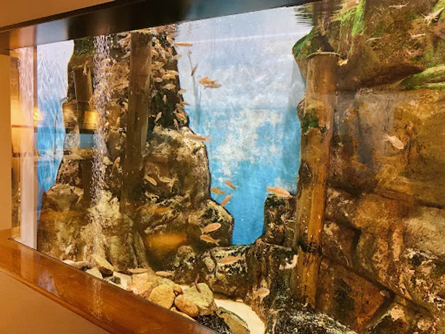 Shimane Prefectural Lake Shinji Nature Museum Gobius