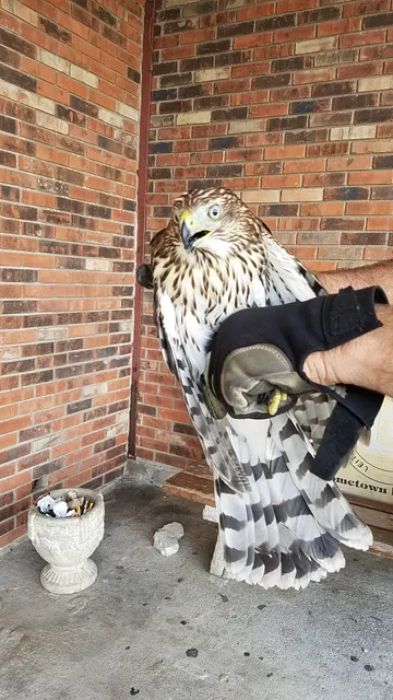 Indian Hills Shopping Center