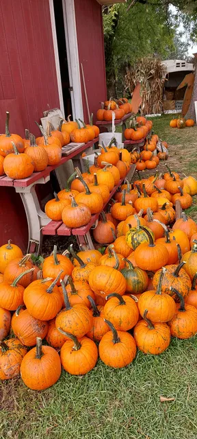 Durfee's Stand at Tuscarora Dairy