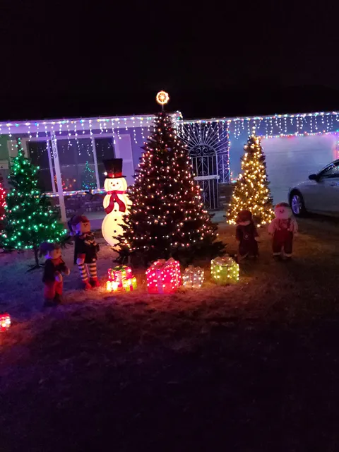 Christmas Tree Lane