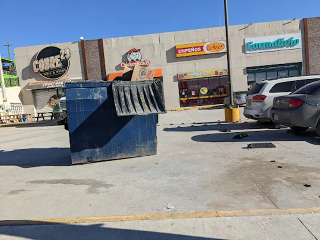 Chicken Ready Suc. Telurio